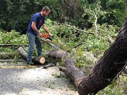 Best Seasonal Cleanup (Spring/Fall)  in Plymouth, OH